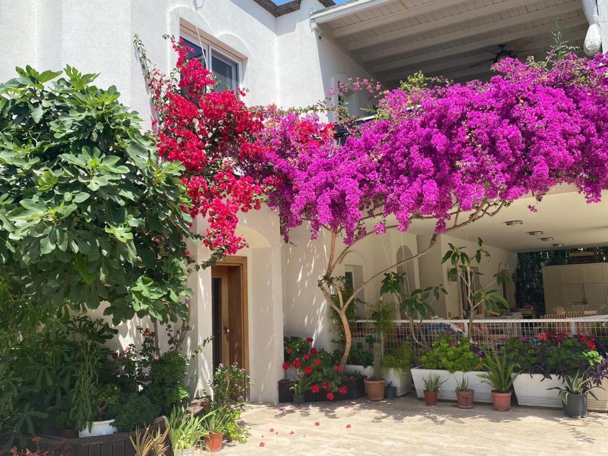 Aparthotel Karayel Apart Bodrum