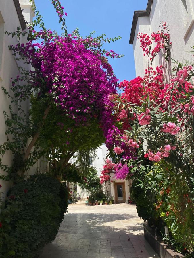 Aparthotel Karayel Apart *